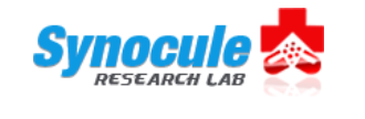 Synocule Research Labs Pvt Ltd